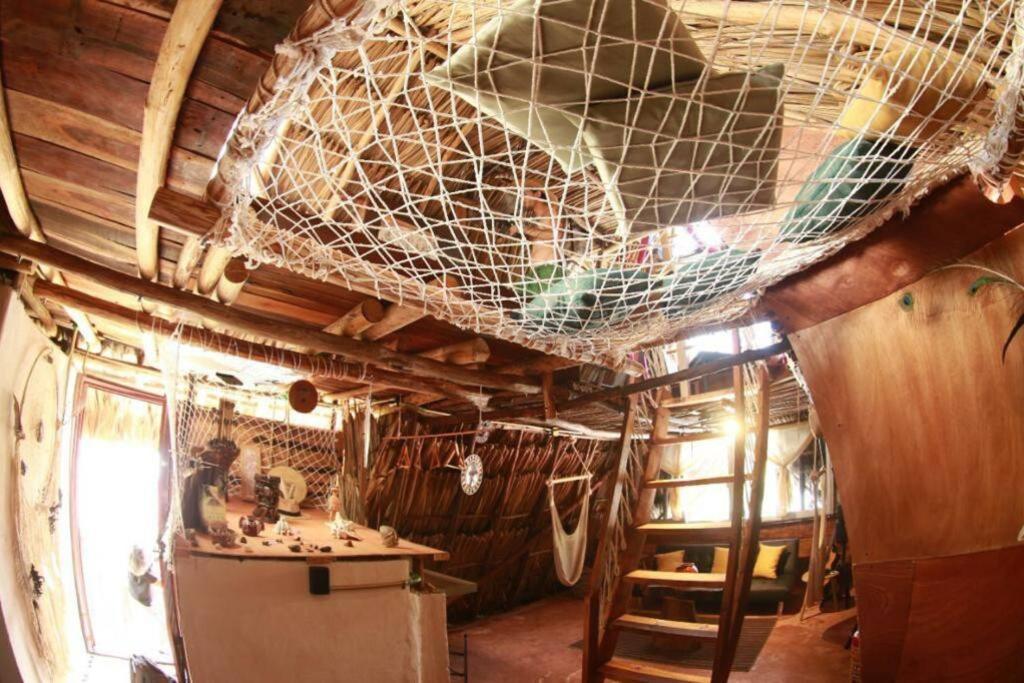 Apartament Jungla Bacalar Zewnętrze zdjęcie