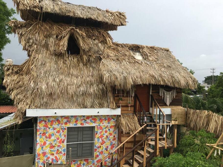 Apartament Jungla Bacalar Zewnętrze zdjęcie
