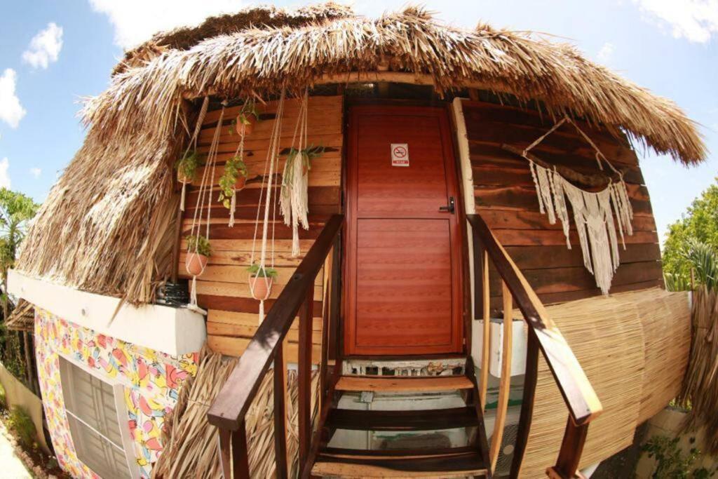 Apartament Jungla Bacalar Zewnętrze zdjęcie