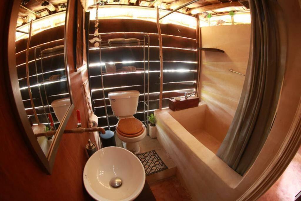 Apartament Jungla Bacalar Zewnętrze zdjęcie
