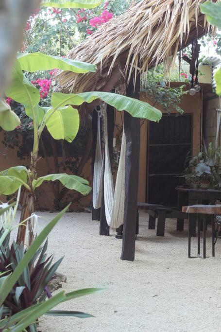 Apartament Jungla Bacalar Zewnętrze zdjęcie