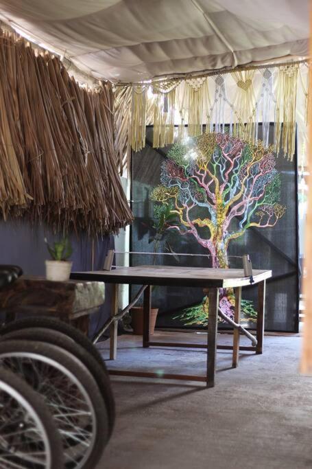 Apartament Jungla Bacalar Zewnętrze zdjęcie