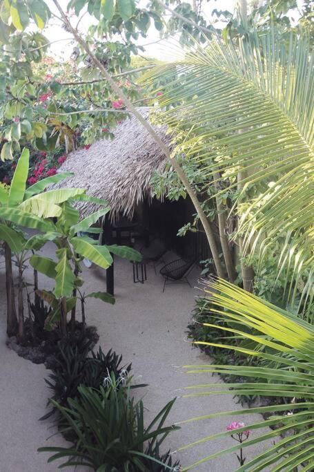 Apartament Jungla Bacalar Zewnętrze zdjęcie
