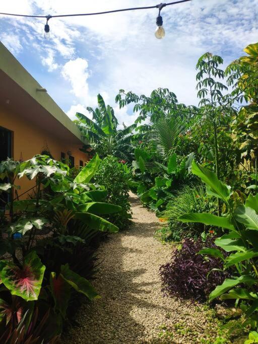 Apartament Jungla Bacalar Zewnętrze zdjęcie