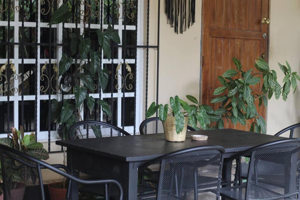 Apartament Jungla Bacalar Zewnętrze zdjęcie