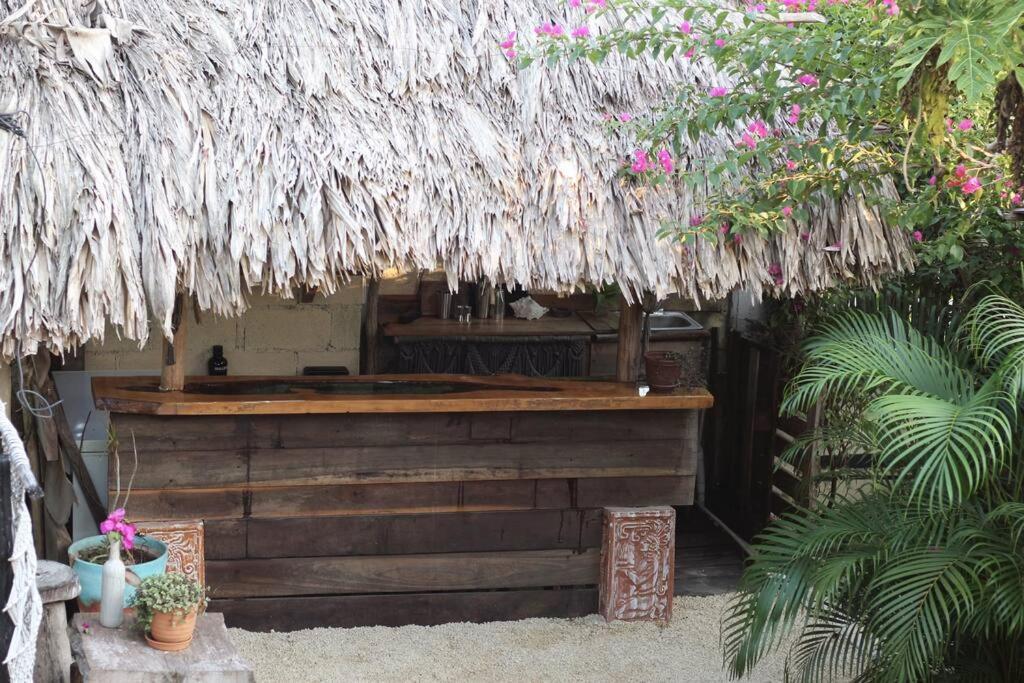 Apartament Jungla Bacalar Zewnętrze zdjęcie